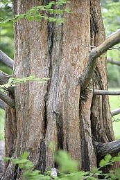 经典ARPG《秦殇》Steam版发售 优惠价29.6元